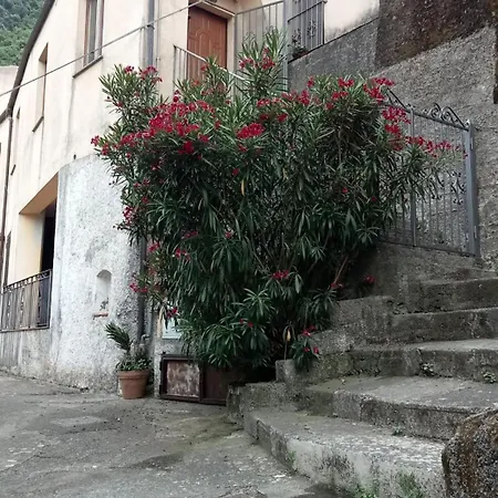 L'oleandro 아파트